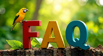 Die 5 meistgestellten Fragen (FAQ) zu Dschungelcamp