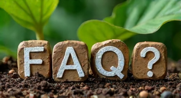 Die 5 meistgestellten Fragen (FAQ) zu Dschungelcamp 2026