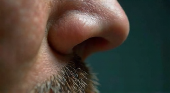 Mein persönlicher Blick auf "A Mosquito in the Ear" (1/10)