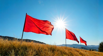 Perspektiven zu Bajo las banderas, el sol