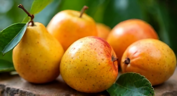 Perspektiven zu "Forbidden Fruits" sind vielversprechend