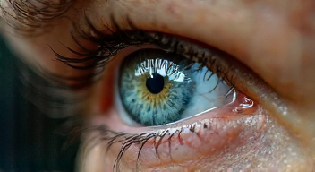 Perspektiven zu "OKTAGON 86" sind vielfältig